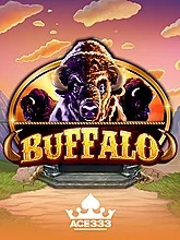 buffalo