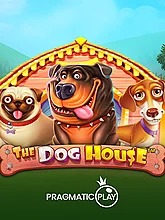 the-dog-house