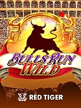 bulls-run-wild